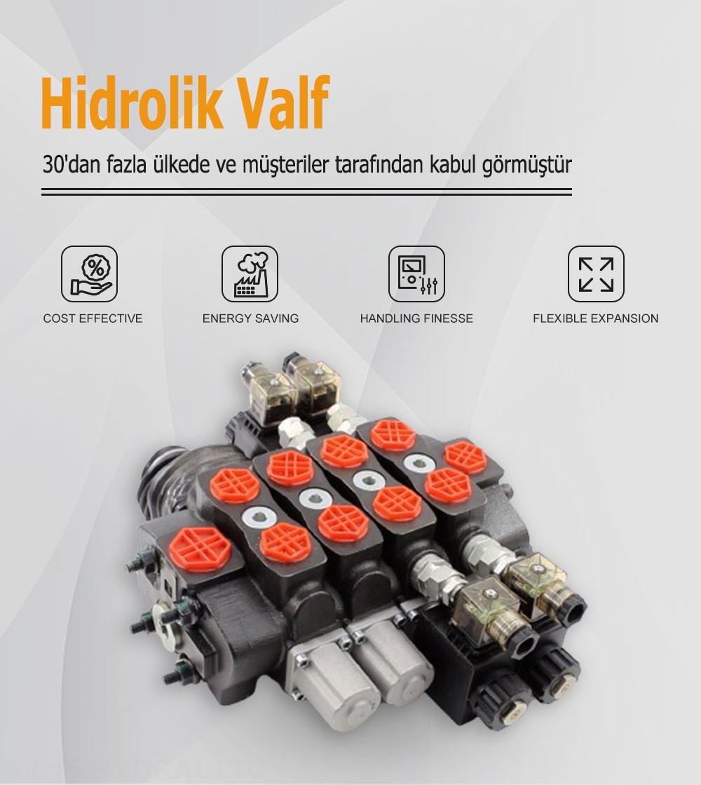 SD8 Solenoid ve Joystick 3 Makara Kesitsel Yönsel Valf